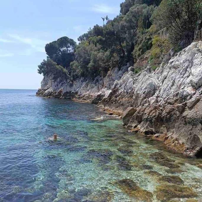 Nice Riviera Fabulous Seaside Apartment With 3 Bedrooms Exteriör bild